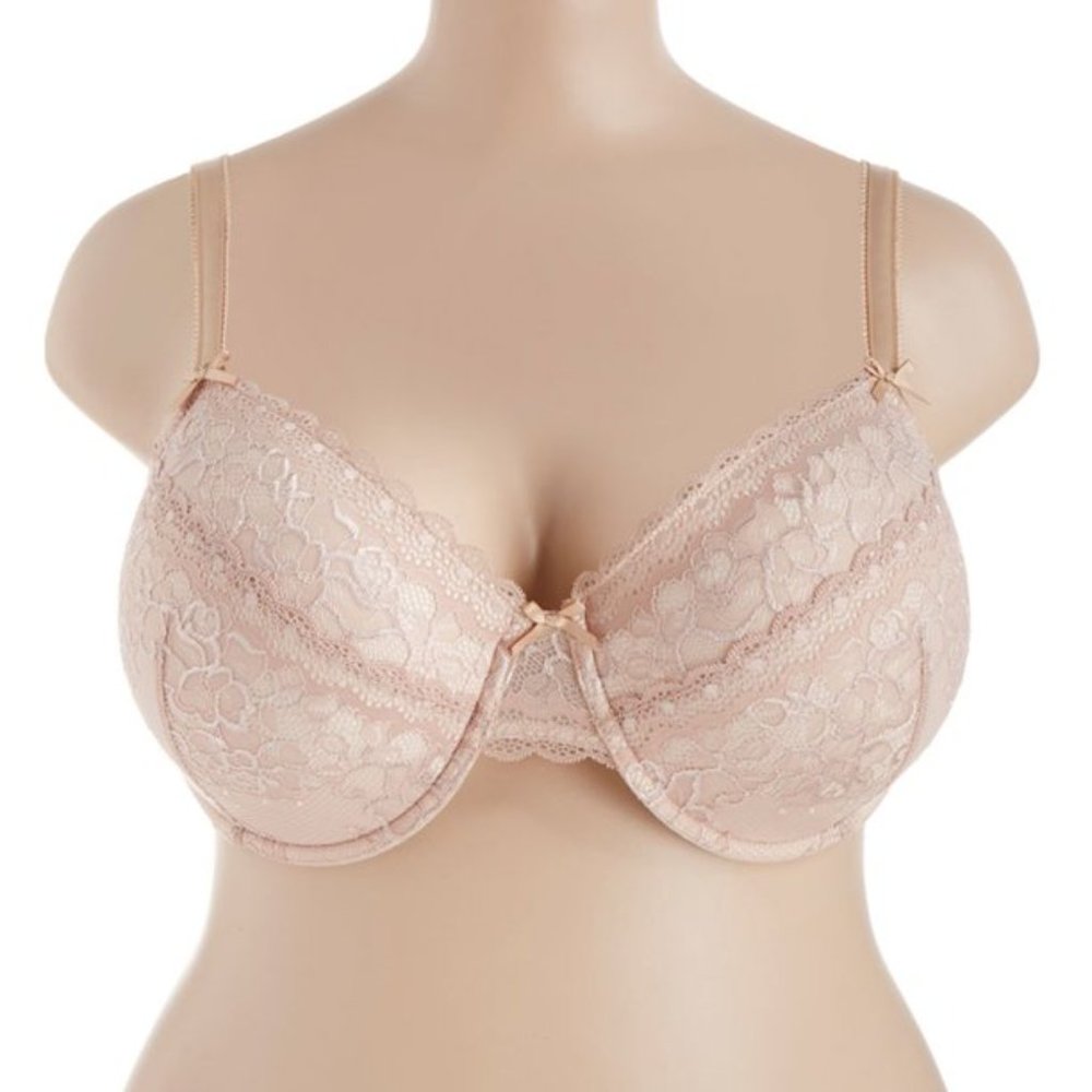 Creme Bralee Celina Padded Lace Bra